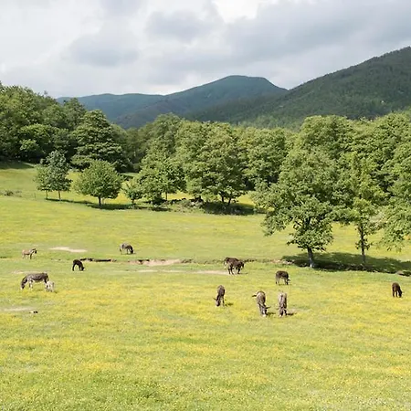 Farm stay Fattoria Di Germagnano